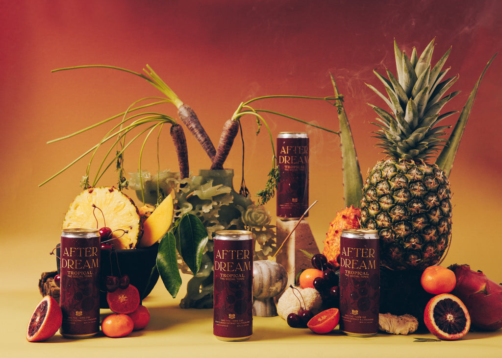 Introducing Afterdream